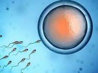 2026年未婚单身前往桂平做试管要准备多少钱？十五万够吗？