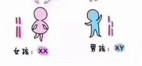 详解三代试管婴儿两种常用技术，手术前务必要了解