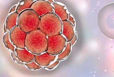 先天性双侧卵巢发育不全的女性做得了试管婴儿吗？