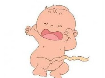 三代试管婴儿成功率如何？费用预算是多少？